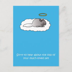 Loss of Pet Chinchilla Sympathy Postcard