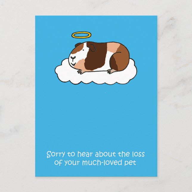 Loss of Pet Guinea Pig Sympathy Postcard (Front)