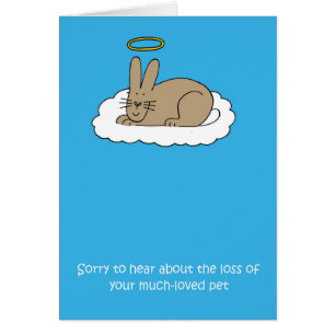 Loss of Pet Rabbit Sympathy