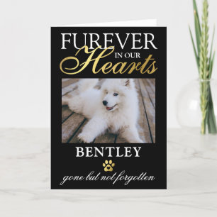 Loss of Pet Sympathy Card