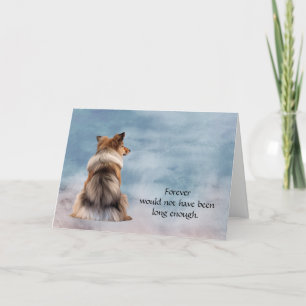 Loss of Shetland Sheepdog Sympathy Condolence Card