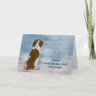 Loss of Spaniel Condolence Sympathy Card
