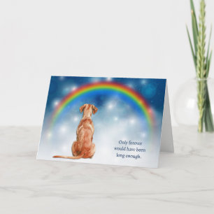 Loss of Vizsla Dog Night Lights Sympathy Holiday Card