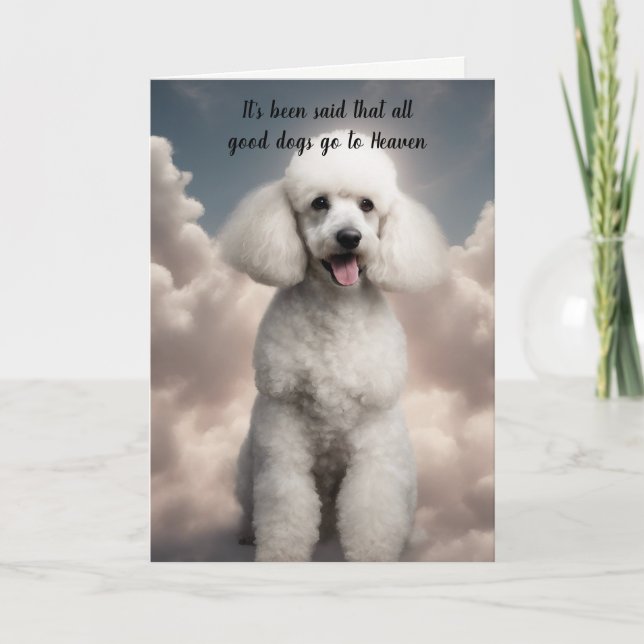 Loss of White Poodle Dog Heaven Sympathy Holiday Card (Front)