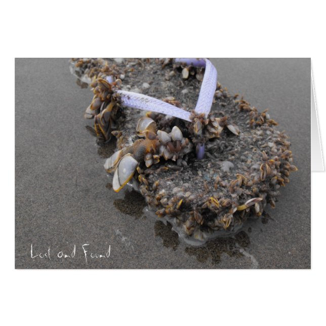 Lost and Found (Front Horizontal)