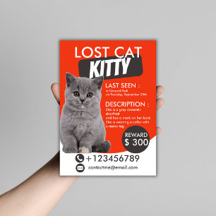 Lost Cat Flyer Template – Customisable Missing Pet