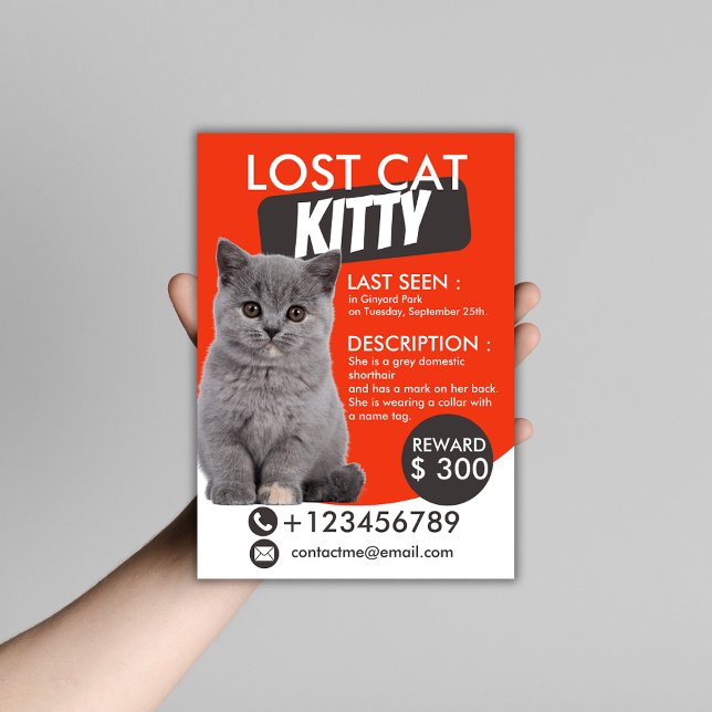Lost Cat Flyer Template – Customisable Missing Pet (Creator Uploaded)