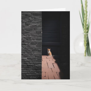 Lost Cat In Dark Alley Thinking of You Card