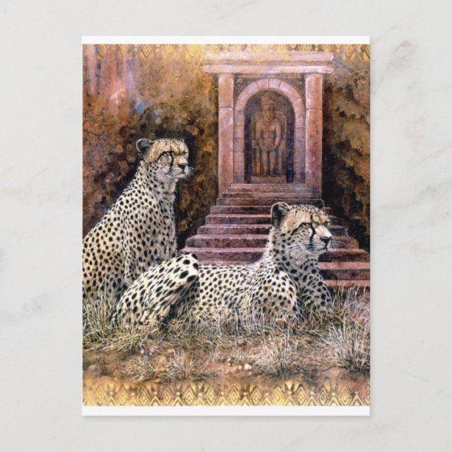 Lost City cheetahs Postcard (Front)