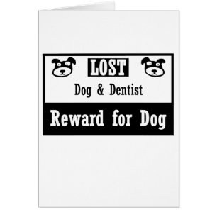 Lost Dog Dentist