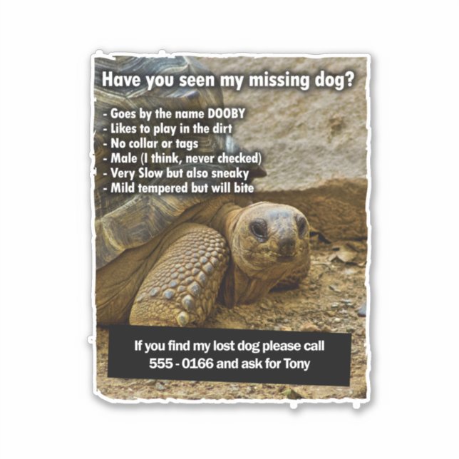 Lost Dog DOOBY (Front)