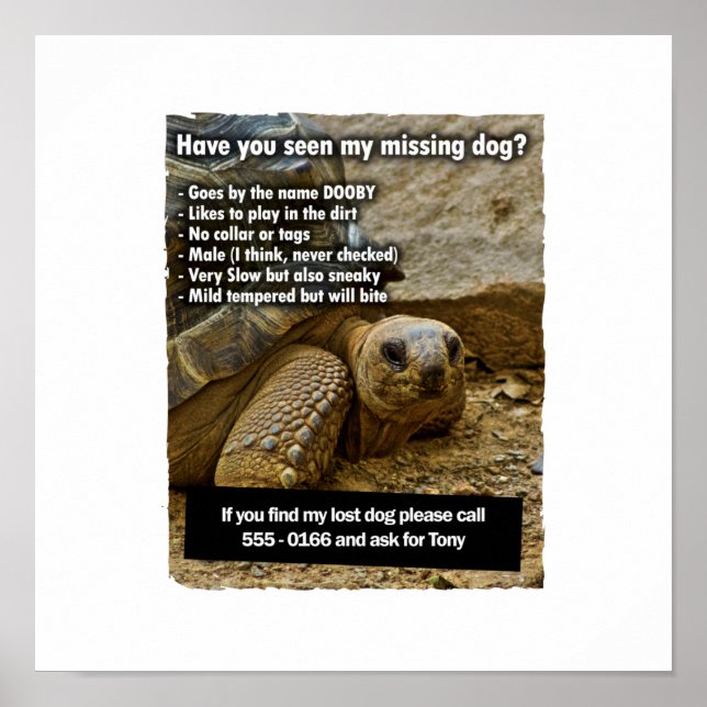 Lost Dog DOOBY Poster (Front)
