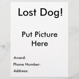 Lost Dog Flyer