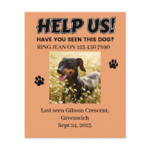 LOST DOG FLYERS. HELP US! Editable details