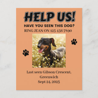 LOST DOG FLYERS. HELP US! Editable details Flyer