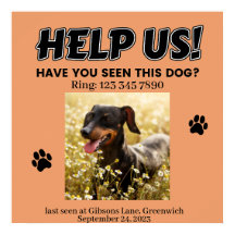 LOST DOG POSTER. HELP US! Editable details Poster