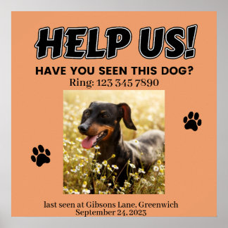 LOST DOG POSTER. HELP US! Editable details Poster