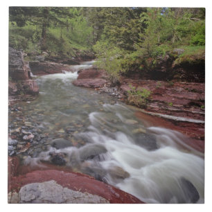Lost Horse Creek in Waterton Lakes National Park Tile