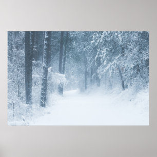 Lost in a magical forest poster