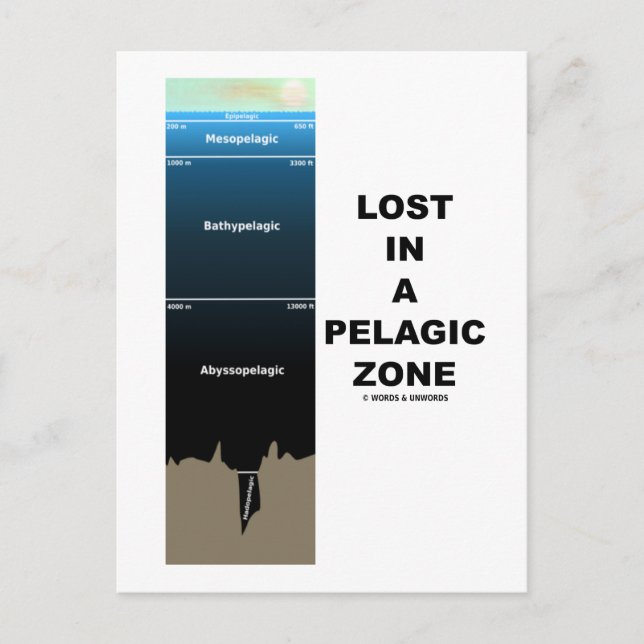 Lost In A Pelagic Zone (Oceanography Humour) Postcard (Front)