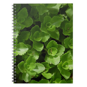 Lost in Leaves Notebook