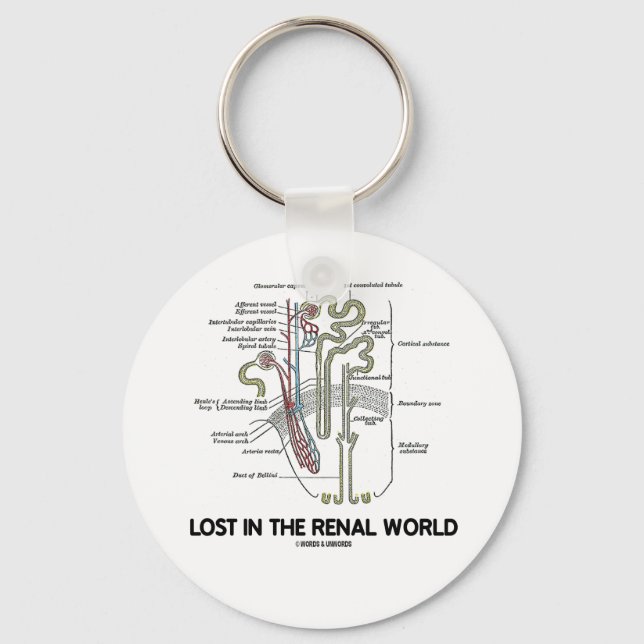 Lost In The Renal World (Kidney Nephron) Key Ring (Front)