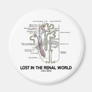 Lost In The Renal World (Kidney Nephron) Magnet