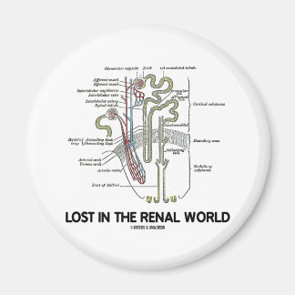 Lost In The Renal World (Kidney Nephron) Magnet