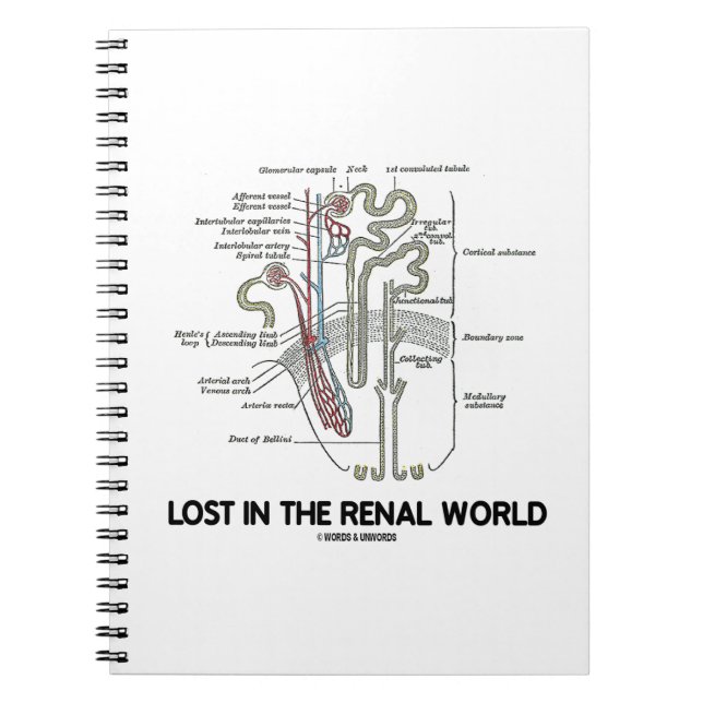 Lost In The Renal World Kidney Nephron Notebook (Front)