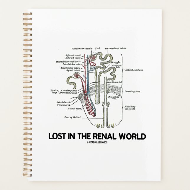 Lost In The Renal World Kidney Nephron Planner (Front)