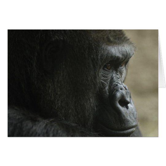 Lost In Thought Card