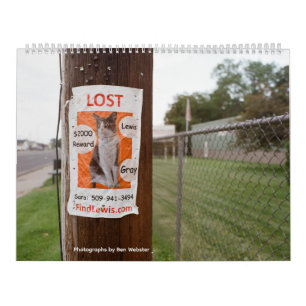Lost Lewis Calendar