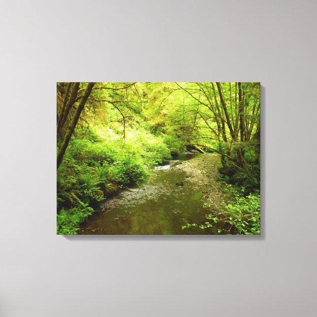 Lost Man Creek I at Redwood National Park Canvas Print (Front)