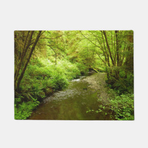 Lost Man Creek I at Redwood National Park Doormat