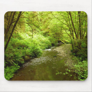 Lost Man Creek I at Redwood National Park Mouse Mat
