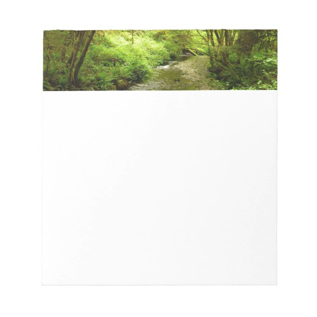 Lost Man Creek I at Redwood National Park Notepad (Front)