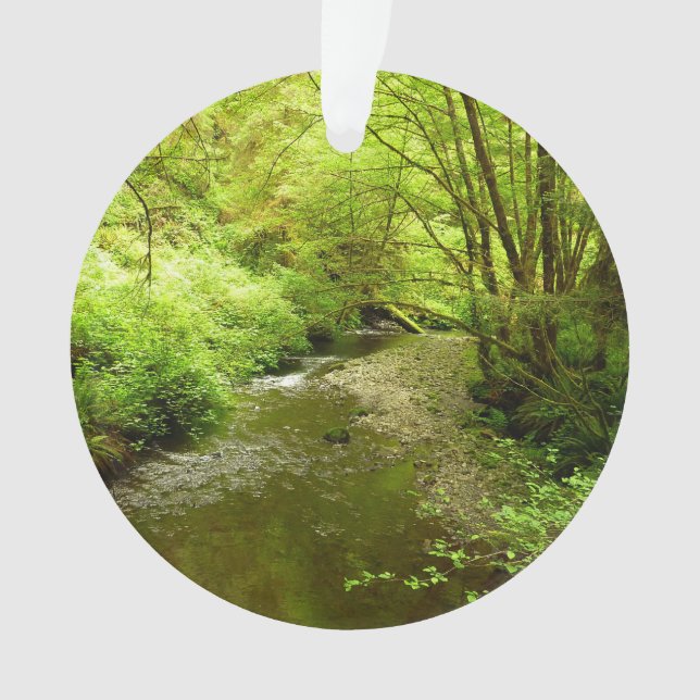 Lost Man Creek I at Redwood National Park Ornament (Front)