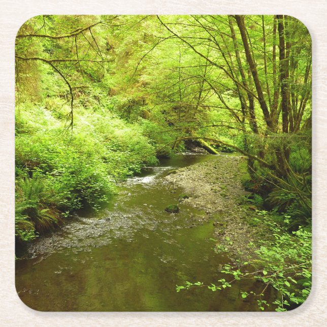 Lost Man Creek I at Redwood National Park Square Paper Coaster (Front)