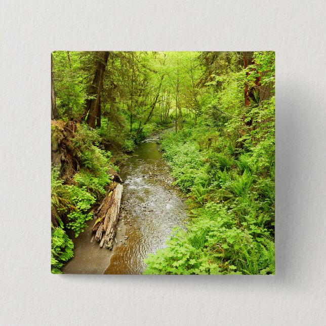 Lost Man Creek II at Redwood National Park 15 Cm Square Badge (Front)