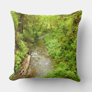 Lost Man Creek II at Redwood National Park Cushion