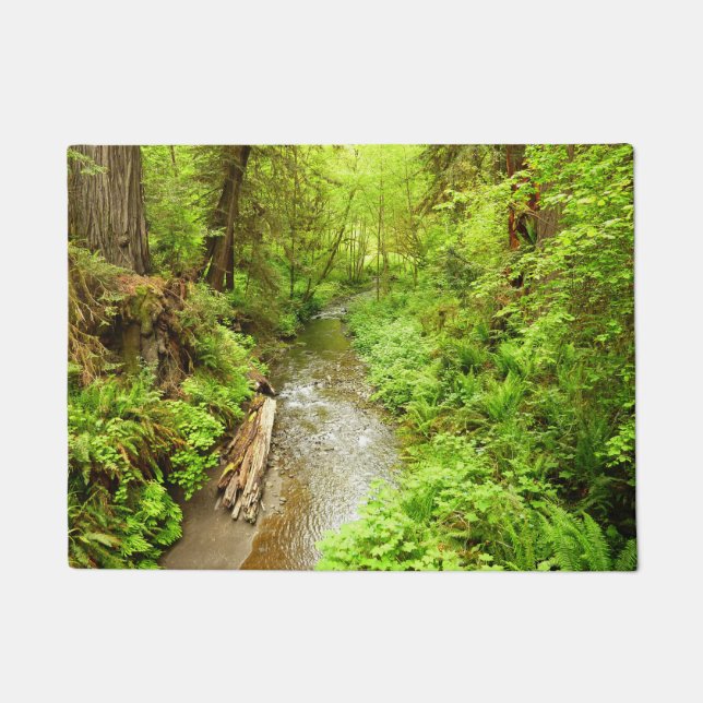 Lost Man Creek II at Redwood National Park Doormat (Front)