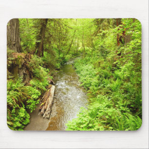 Lost Man Creek II at Redwood National Park Mouse Mat