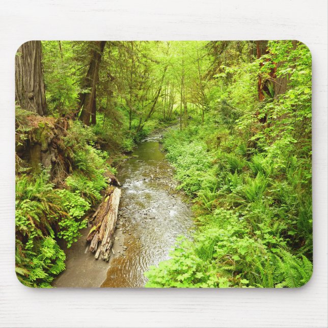 Lost Man Creek II at Redwood National Park Mouse Mat (Front)
