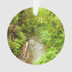 Lost Man Creek II at Redwood National Park Ornament