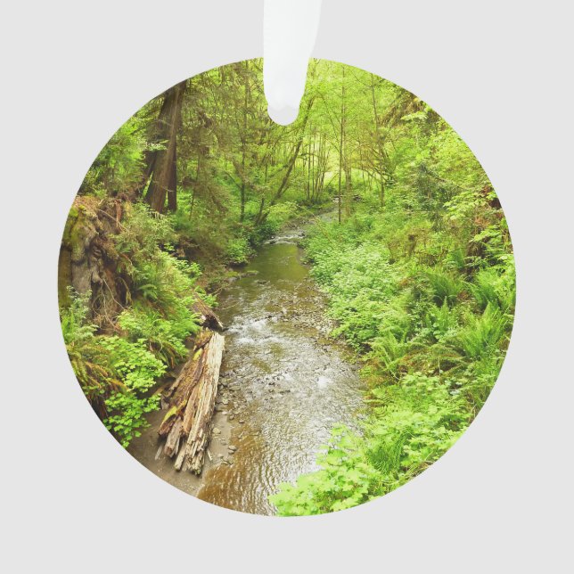 Lost Man Creek II at Redwood National Park Ornament (Front)