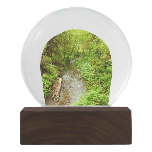 Lost Man Creek II at Redwood National Park Snow Globe (Front)