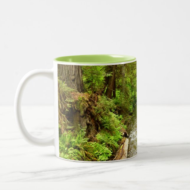 Lost Man Creek II at Redwood National Park Two-Tone Coffee Mug (Left)