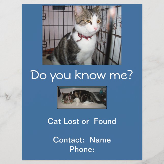 Lost or Found Cat Mailbox Flyer (Front)