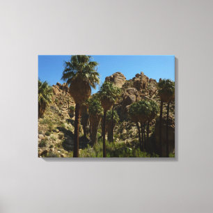 Lost Palms Oasis I at Joshua Tree National Park Canvas Print