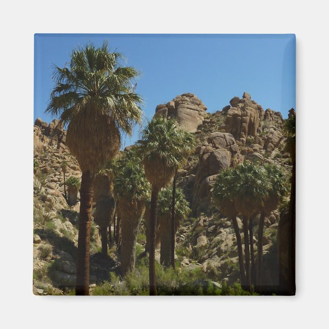 Lost Palms Oasis I at Joshua Tree National Park Magnet (Front)